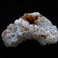 Calcite Psm Coral