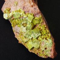 Uranocircite