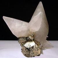 Calcite & Pyrite