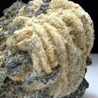 Baryte Var Rockenberger Rose