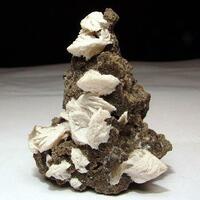 Barytocalcite