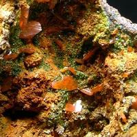 Crocoite & Pyromorphite