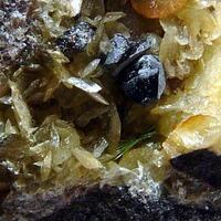 Millerite & Galena