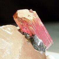 Liddicoatite & Quartz