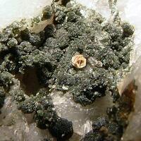 Monazite-(Ce)