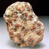 Pyrope With Chlorite