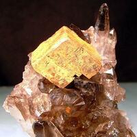 Smoky Quartz & Limonite Psm Siderite