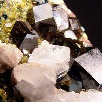 Calcite Andradite Clinochlore & Epidote