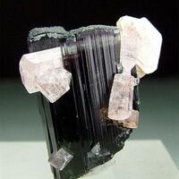 Indicolite With Apatite & Muscovite