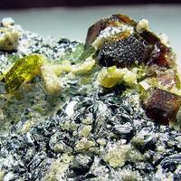 Clinochlore With Andradite Diopside & Vesuvianite