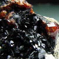 Hornblende & Andradite