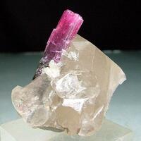 Liddicoatite & Quartz