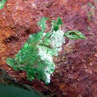 Torbernite