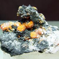 Campylite