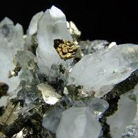 Quartz With Chalcopyrite & Pyrite