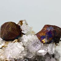 Bornite & Quartz