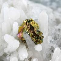 Chalcopyrite & Quartz