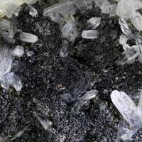 Quartz Calcite & Clinochlore On Magnetite