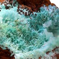 Aurichalcite & Hemimorphite