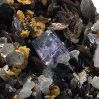 Fluorite Chalcopyrite & Quartz On Muscovite