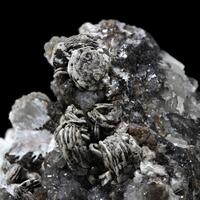 Hydrocerussite With Calcite