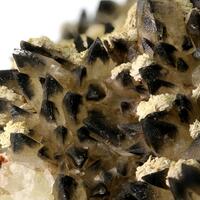 Baryte & Calcite With Hydrocarbon Inclusions