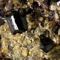 Cassiterite With Muscovite & Siderite