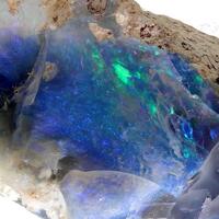 Black Opal