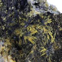 Greenockite Psm Boulangerite