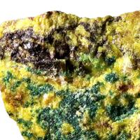 Wyartite Schoepite Vandendriesscheite & Uranophane