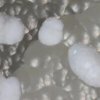 Shinichengite