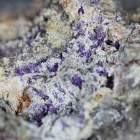 Elyite