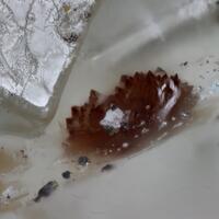 Canutite