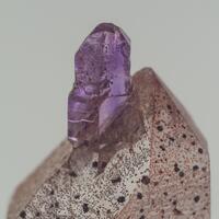 Amethyst Sceptre On Quartz