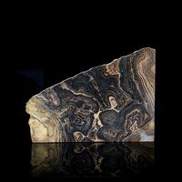 Fossil Stromatolite