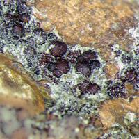 Barahonaite-(Fe) & Cobaltarthurite