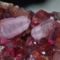 Cobaltoan Austinite Cobaltlotharmeyerite Roselite & Calcite