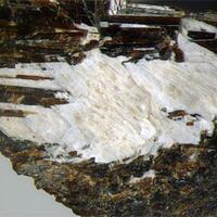 Hydrodelhayelite