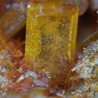 Wulfenite & Mimetite