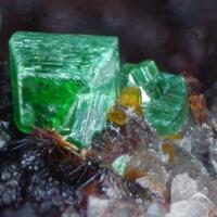 Torbernite Baryte & Uranophane