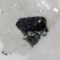 Pearceite-Tac Chalcopyrite & Arsenopyrite