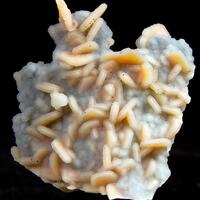 Wulfenite & Quartz