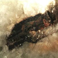 Brannerite