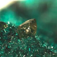 Powellite & Brochantite
