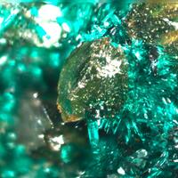 Powellite & Brochantite