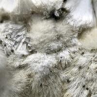 Scolecite