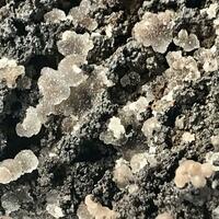 Tarbuttite