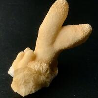 Aragonite