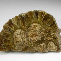 Baryte Var Oakstone