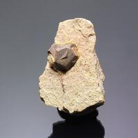 Goethite Psm Pyrite